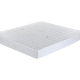 MagniProtect Plus Extra Protector by Magniflex