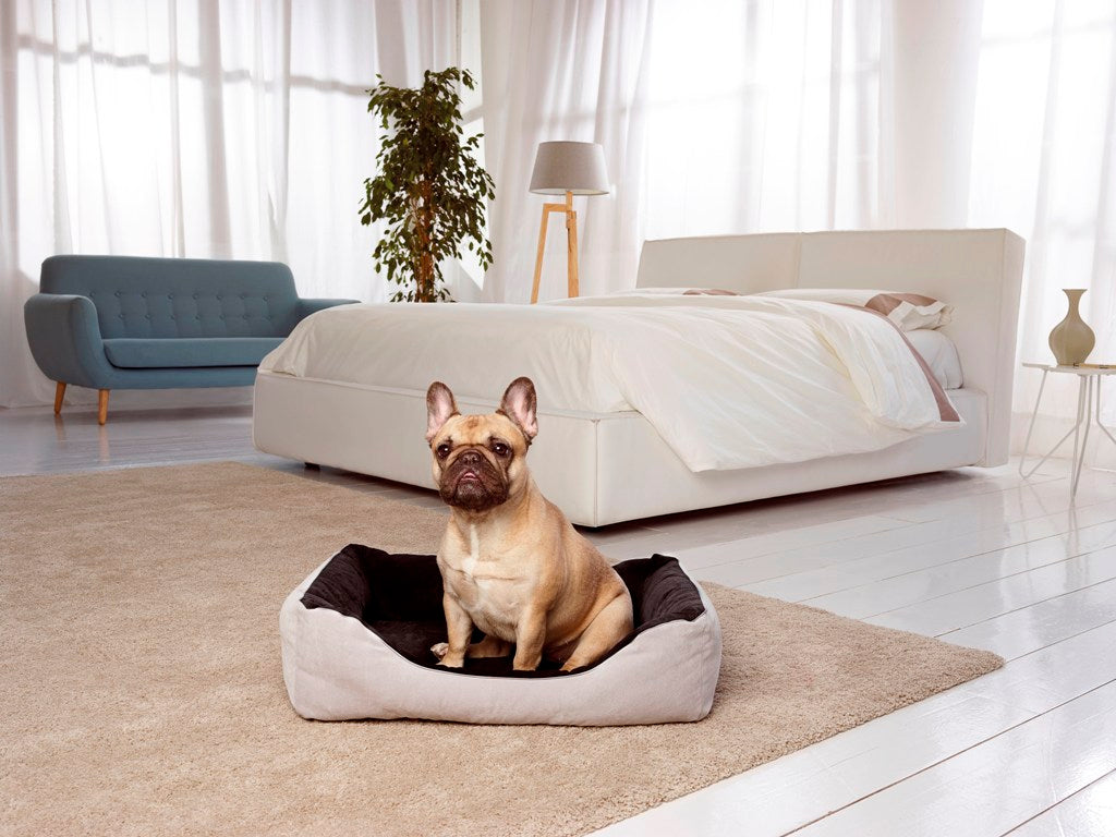 The Best Mattress Protectors for Pet Owners